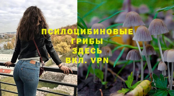 тгк Переславль-Залесский