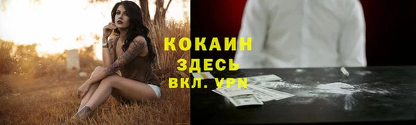 тгк Переславль-Залесский