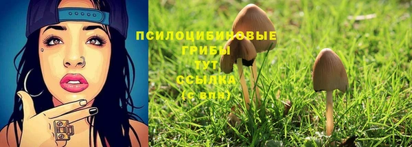 spice Армянск