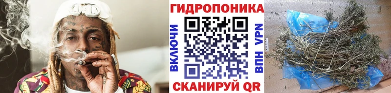 Каннабис SATIVA & INDICA  Дыгулыбгей 